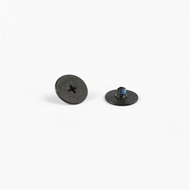 Flat head micro black mini screw