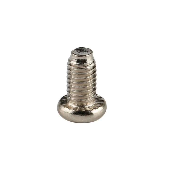 Stainless steel phillips micro small screw