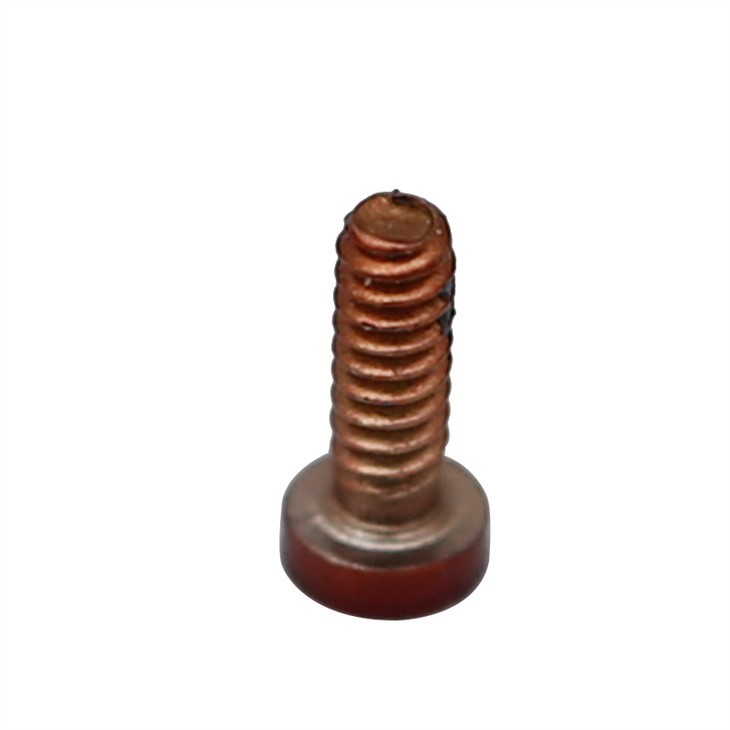 Torx socket head headphone small micro screw