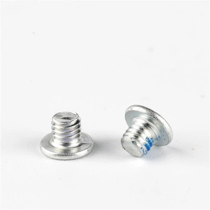 Stainless Steel Phillips Small White Screw