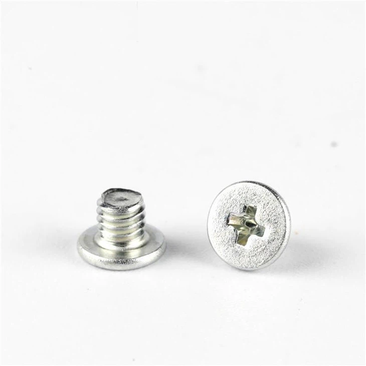 Stainless Steel Phillips Small White Screw